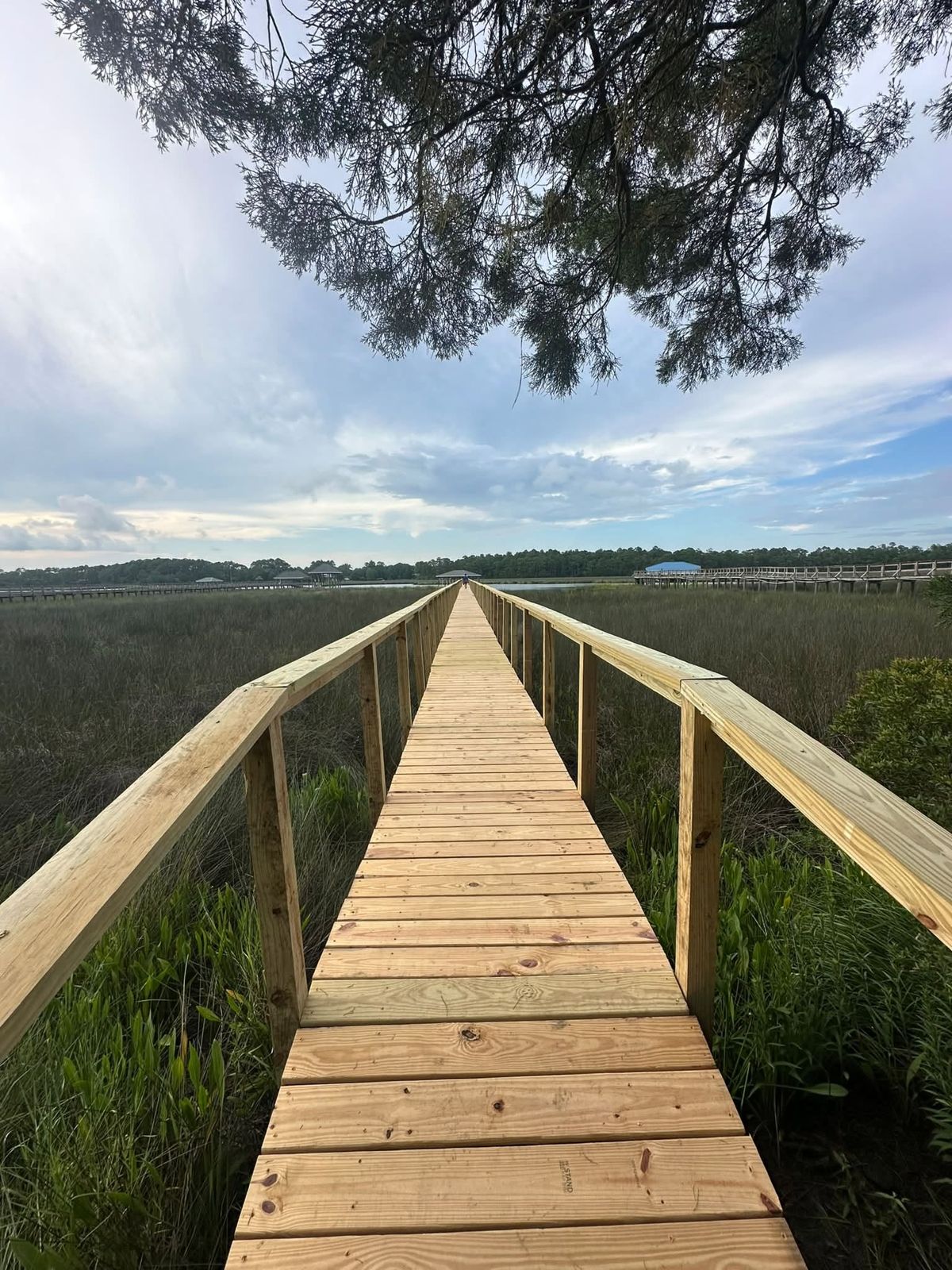 Long new wooden walkway with handrails running across the marsh to the water